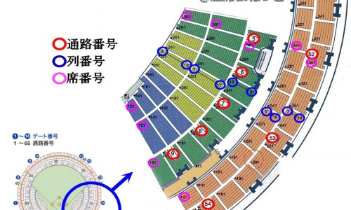 米尼西片是什么药-米西宁价格是多少时间网 | 西米宁的功效与作用,米尼西片功能作用